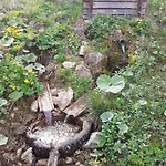 Rekreacny Dom Tyrkys Poprad