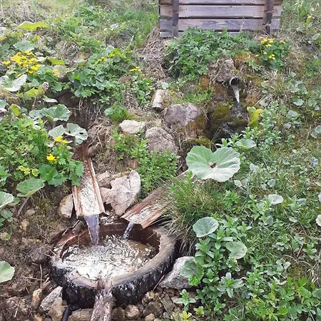 Rekreacny Dom Tyrkys Poprad