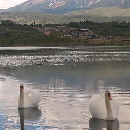 Rekreacny Dom Tyrkys * פופראד